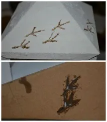 Прикраси на Новий Рік нанесла
