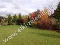 Влаштування газонів насіння