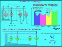 нейронних