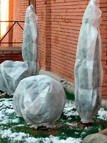 листопаді