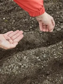 роботи