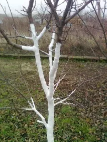 листопаді