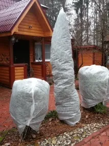 садом
