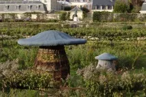 Вісник садівника - ДНІ ФРАНЦУЗЬКОГО ЛАНДШАФТНОГО ДИЗАЙНУ В АБРАУ-ДЮРСО французького