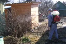 шкідників