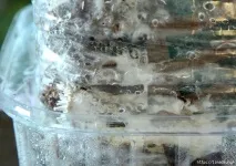 картоні