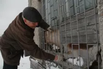 У Першоуральську зривається термін здачі нових ліфтів ліфтів
