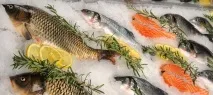 Як відкрити рибний магазин з нуля Бізнес план - Технологія бізнесу відкрити
