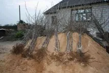 опис