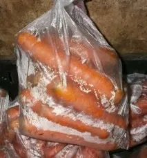 Зберігання моркви у льоху льоху