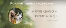 Хочете одружитися – заведіть хаски)))», TopDog - Міжнародні виставки собак міжнародні