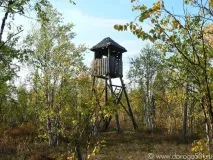Покинута залізниця Чум - Салехард залізниця