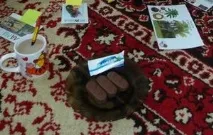 Заняття на тему Дерева - екзотичні дерева - Ігри, розвиток та навчання дітей від 3 до 7 років тему