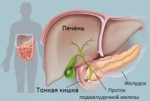 Жовчогінні препарати при панкреатиті властивості та правила вибору вибору