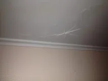 стелю
