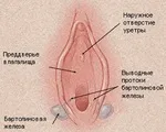 Жіночі хвороби бути