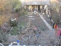 живий