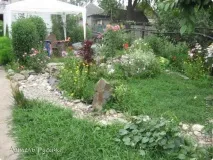 сухим