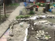 пруд