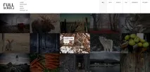 100 безкоштовних фото-WordPress тем безкоштовних