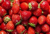 12 речей, які виглядають моторошно під мікроскопом моторошно
