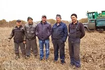 Аграрії Кам’янського району приступили до обмолоту соняшника. приступили