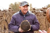 Аграрії Кам’янського району приступили до обмолоту соняшника. янського