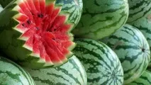 кавун