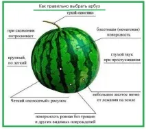 користь