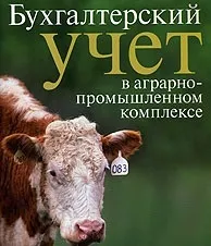 Аудит сільгосппідприємств, Аудит Експерт аудиторсько-оцінна компанія Казані аудит