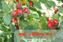 Як правильно сушити та заварювати шипшину в домашніх умовах шипшину