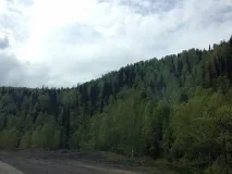 збори
