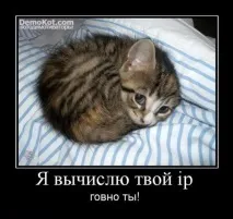 Як правильно готувати кішку готувати