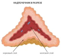 заболявания