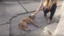 зайшов
