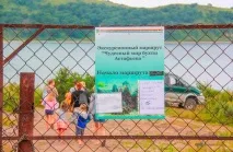 Бухти суворого режиму морський заповідник у Примор’ї заборонив купатися на пляжах суворого