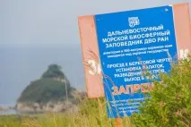 Бухти суворого режиму морський заповідник у Примор’ї заборонив купатися на пляжах бухти