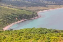 Бухти суворого режиму морський заповідник у Примор’ї заборонив купатися на пляжах бухти