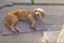впав