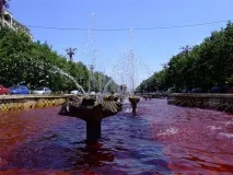 Бухарест, Румунія - відпочинок, погода, відгуки туристів, фотографії погода