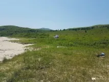 Бухти суворого режиму морський заповідник у Примор’ї заборонив купатися на пляжах бухти