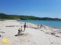 Бухти суворого режиму морський заповідник у Примор’ї заборонив купатися на пляжах суворого