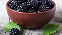 лісові