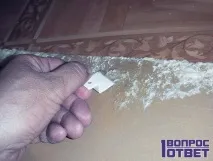 поради