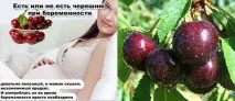 Черешня при вагітності та грудному вигодовуванні - користь та шкода, відео вагітності