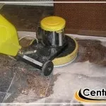 Чищення підлогових покриттів догляд за підлогами з ламінату дерева та пробки підлогових