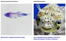 заголовки