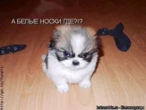 робити