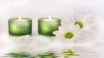 лісової