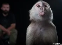 заходи